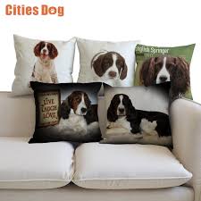 We do, however, require the following information in order to evaluate your manuscript: Chair Springer Cover Letter June 2021