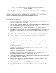 Vice president of operations/general manager with extensive operations and it expertise. Https Louisville Edu Financeandadministration Documents Srvpfa Job Desc