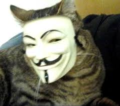 3640 silver star road orlando, fl 32808 tel: Hacko Cato Stealer Of Credit Card Social Security Numbers Attacks Abilities Scam Impersonate Adorable Drops Social Security Credit Card Numbers Anonymous Mask Bossfight