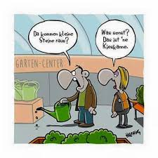 Steine Lustig Humor Bilder Spruche Humor
