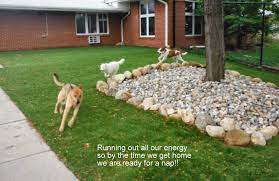 She loves taking care of dogs and cats at pcc. Pet Care Center 3220 North 14th Street Lincoln Reviews And Appointments Topvet