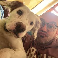 Nardo Grey 550hp RS3 👽 @fokdatrs3 Forged #rotiform KPS #audi #rs3  #airliftperformance