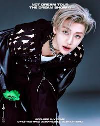 2025 NCT DREAM TOUR #JAEMIN, #NCTDREAM #THEDREAMSHOW4 #DREAMTHEFUTURE,  #NCTDREAM_THEDREAMSHOW4_DREAMTHEFUTURE