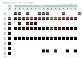 Goldwell Color Chart Topchic Bedowntowndaytona Com