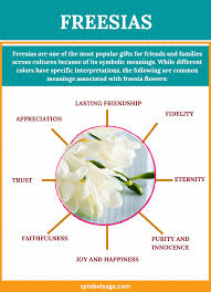 The flower was associated with aphrodite (and her roman counterpart, venus) in the freesia primarily signifies innocence, trust, and friendship. Freesia Symbolism And Meaning Symbol Sage