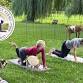 Goat Yoga with Rainbow Ridge Farms