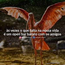 Pensador Sincero Pa Twitter Pra Completar Aquele Vazio Com Alcool