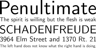 All fonts are categorized and can be saved for quick reference and comparison. Computer Modern Font Free By Donald E Knuth Font Squirrel