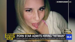 Porn star pleads guilty to trying to hire hitman to kill ex