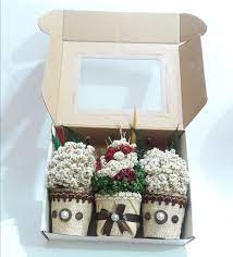 Pin Di Bunga Edelweis