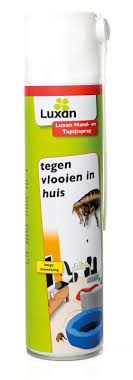 Üblicherweise leben aber mehr flöhe im teppich oder im katzenbett als auf der katze selbst, weswegen katzenflohbisse vorwiegend an füssen, knöcheln und am unterschenkel auftreten. Luxan Korb Und Teppich Spray Gegen Flohe Urban Gardening Store