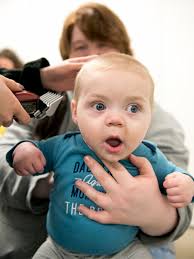 What Do Lewis County's Homeless Residents Want? More Transit, a Variety of  Shelters and Options for Pets