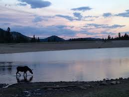 This is a free campsite. Silver Lake Flat Reservoir Child For A Day