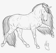 Make the head by drawing a large oval or circle, then a small circle near it for the. Friesian Horse Drawing Transparent Png 971x823 Free Download On Nicepng