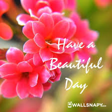 Good Morning Flower Photos Download Wallsnapy See more ideas about good morning, good morning greetings, good morning images. good morning flower photos download
