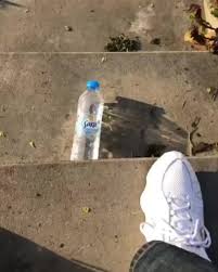 Ile_slt pashanim, pashanim hauseingang, pashanim shababs botten, pashanim. Canonulldreinull Hashtag Videos On Tiktok