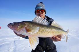 Trout are predators that prey on smaller fish. Ajf Lake Trout Ice Fishing Rods And Reels Nalan Com Sg