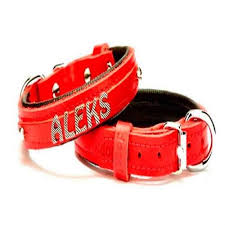 doggie yumusak dokulu isimlikli kopek boyun tasmasi kirmizi sbt 2014 m amazon pet center amazonlar kirmizi kopek