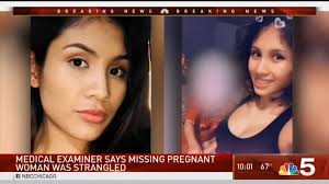 Remains Of Missing Mother Found In Chicago Home