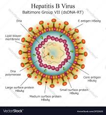 Pin On Virus