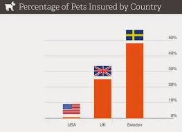 American Pet Insurance Vs European Pet Insurance They