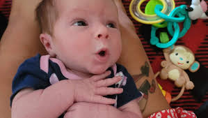 Fundraiser for Krista Rossetti by Maria Lagoda : Support for Krista and  Celeste in their time of Grief