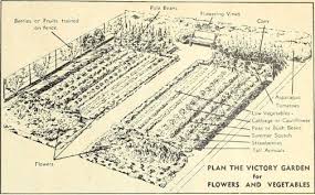These 10 recommended practices will help your garden flourish. What Is A Victory Garden Vintage Advice For A Modern Time