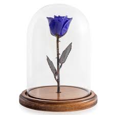 Enchanted Rose In Glass Dome Violet Pearl The Forever Rose