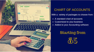 set up a standard chart of accounts