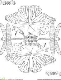 Coloring page mandala free coloring pages mandala insect coloring pictures mandalas free coloring pages mandala roses free coloring pages mandala winter coloring pages mandala angel coloring. Coloring Pages On A Variety Of Things Including Animal Abc S Malvorlagen Wenn Du Mal Buch Malbuch Vorlagen