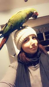 Hi all. I recently became a macaw mama. My beautiful boys name is Toby, he  is a 20 year old GW macaw. He is exceptionally well trained but does not  fly at