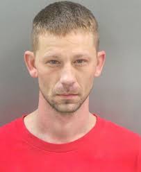 Southern Illinois man pleads guilty to reckless homicide in death of  officer