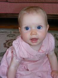 In the Sheepfold: 2016