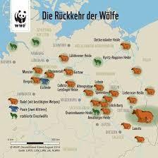 Verbreitung Des Wolfs Deutschlandkarte Wolfe In Deutschland Wolfe Deutschland
