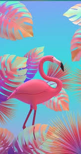 Flamingo Arya Flamingo Wallpaper Pink Flamingo Wallpaper Flamingo Art