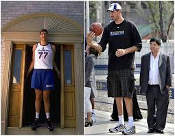 Basketball Players Height Chart From Shortest To Tallest