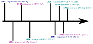 Hunter handsfield, md, a spokesperson for the american sexual health association and professor emeritus. Pathogens Free Full Text Human Herpesvirus Sequencing In The Genomic Era The Growing Ranks Of The Herpetic Legion Html