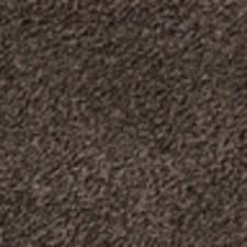 Image result for Earth Brown 2020 Fleet