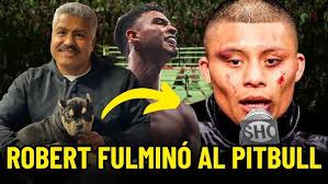 DAMAURY RAMOS VS Juan Miguel Castillov /DOMINICAN FIGHT CLUB/ DFC SANTIAGO  (MP DEPORTE)