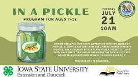 In a Pickle!