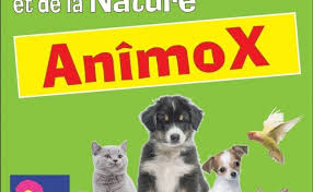 Maybe you would like to learn more about one of these? Salons Expos Chiens Chats Animaux Occitanie Le Mag Des Animaux