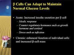 Définition, synonymes, citations, traduction dans le dictionnaire de la langue française. Resurrecting The Beta Cell In Type 2 Diabetes