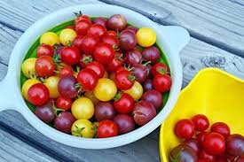 The best cool weather vegetables include salad vegetables, kales, chards, onions and the cabbage family as they are more tolerant of colder temperatures and light frost. 3 Ways To Preserve Late Season Cherry Tomatoes Mother Earth News