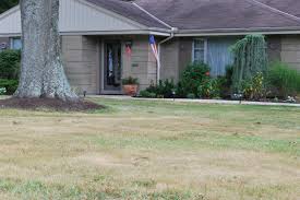 That can help you avoid getting stuck in a situation where you're if you have older relatives or neighbors, call to check on them frequently during a heat wave. Brown Grass Brown Patches On Lawn Why Is My Grass Dying