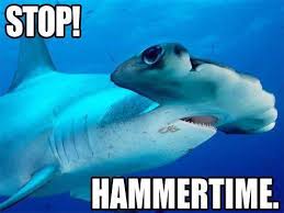 24 Funny Shark Week Pictures Sharks Funny Beautiful Sea Creatures Shark Pictures