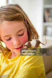 93 Mouse Pat Stock Photos, High-Res Pictures, and Images