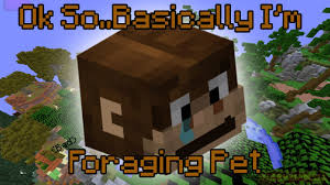 Regardless that retaining monkeys as pets are frowned upon—it may be tough, expensive, merciless, and harmful—they're caring for tamarin monkey pet. The Monkey Pet Is Not Op Hypixel Skyblock Youtube