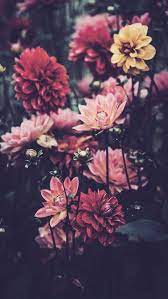 You can just screenshot them!. Farben Blumen Hintergrunde Iphone Blumen Natur Ideen Wallpapersiphone Far Nature Iphone Wallpaper Floral Wallpaper Iphone Flower Background Iphone