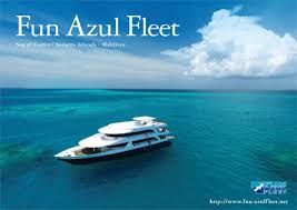 Image result for Azul 1995 Fleet