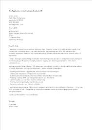 Since you likely received a number of applications and letters for this open position, i am extremely grateful for the time you have spent reading about me and what would. Application Letter For Fresh Graduate Human Resource Cover Letter Sample For Fresh Graduates In Human Resource Management